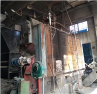郴州希望飼料公司燒煤鍋爐改造生物質鍋爐1